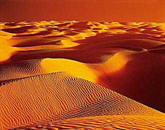 奇妙冒险旅程再次开始 《宝可梦：朱＆紫》上市宣传片