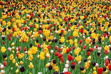 《乐高地平线大冒险》将于11月14日发售