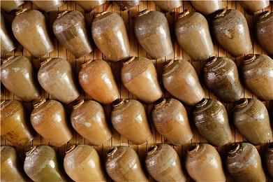 《怪物猎人：崛起》新活动任务 奖励“盛装”外观装备